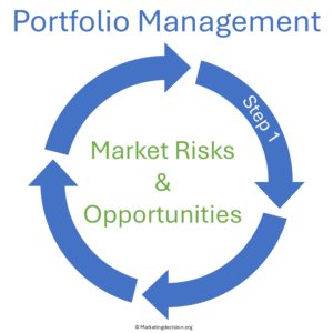 market risks and opportunities in solution portfolio management