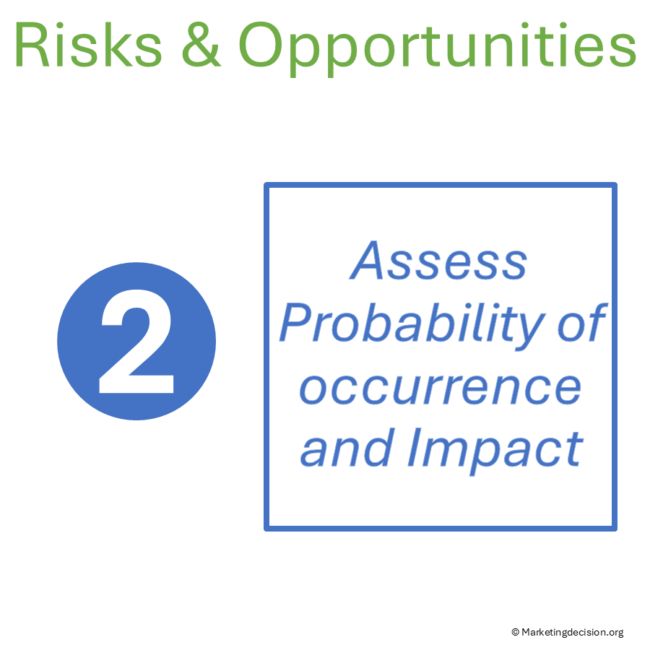 Risks and Opportunities Matrix: 3-Step Assessment