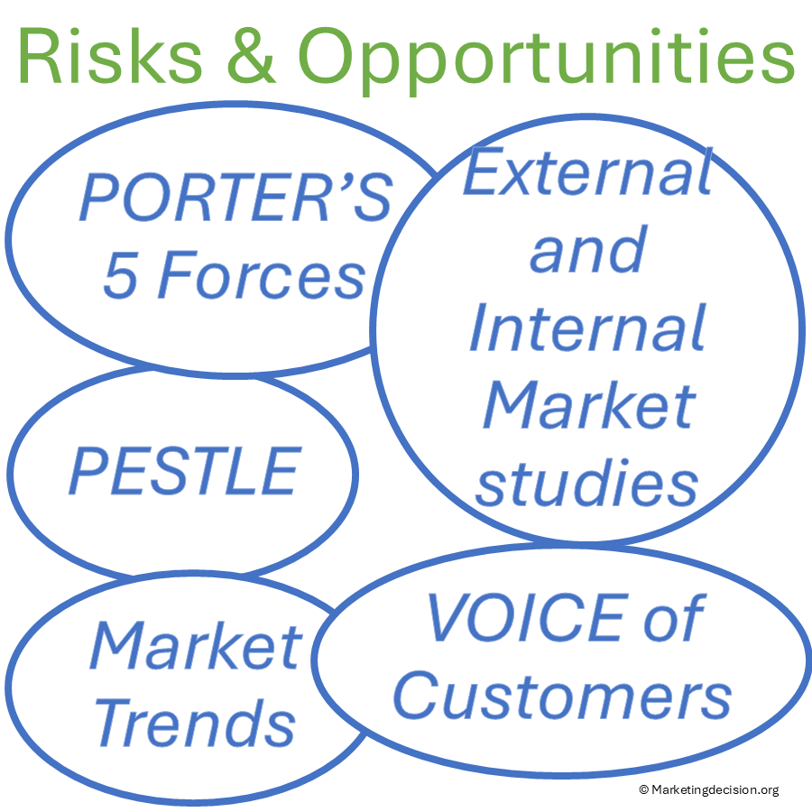 Risks and Opportunities Matrix: 3-Step Assessment